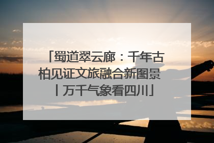 蜀道翠云廊：千年古柏见证文旅融合新图景丨万千气象看四川