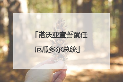 诺沃亚宣誓就任厄瓜多尔总统