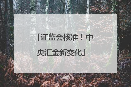 证监会核准！中央汇金新变化