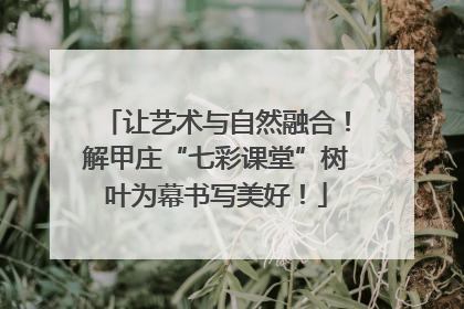让艺术与自然融合！解甲庄“七彩课堂”树叶为幕书写美好！