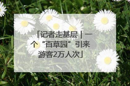 记者走基层｜一个“百草园”引来游客2万人次