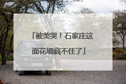 被美哭！石家庄这面花墙藏不住了