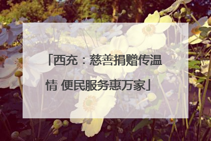西充：慈善捐赠传温情 便民服务惠万家