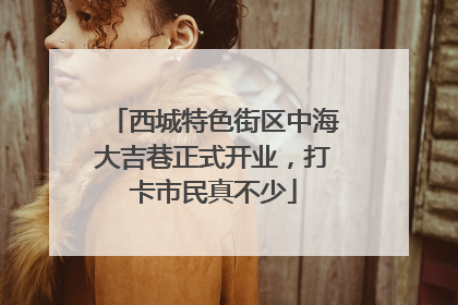 西城特色街区中海大吉巷正式开业，打卡市民真不少