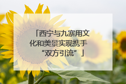 西宁与九寨用文化和美景实现携手“双方引流”
