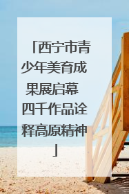 西宁市青少年美育成果展启幕 四千作品诠释高原精神