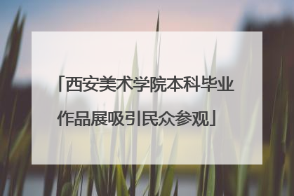 西安美术学院本科毕业作品展吸引民众参观