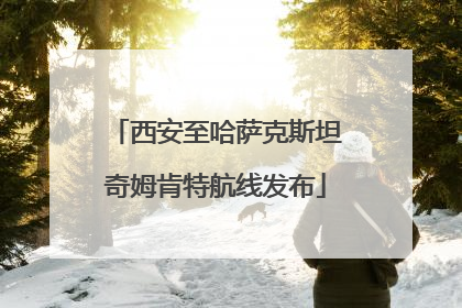 西安至哈萨克斯坦奇姆肯特航线发布