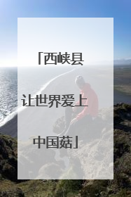 西峡县 让世界爱上中国菇