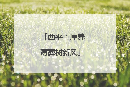 西平：厚养薄葬树新风