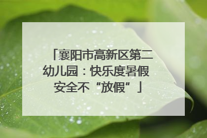 襄阳市高新区第二幼儿园：快乐度暑假 安全不“放假”