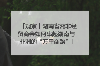 观察丨湖南省湘非经贸商会如何串起湖南与非洲的“万里商路”