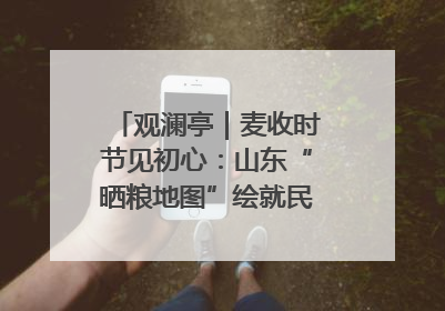 观澜亭｜麦收时节见初心：山东“晒粮地图”绘就民生温暖画卷