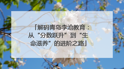 解码青岛李沧教育：从“分数跃升”到“生命滋养”的进阶之路