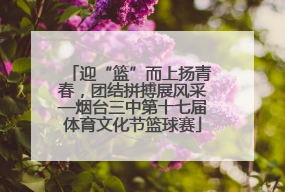 迎“篮”而上扬青春，团结拼搏展风采—烟台三中第十七届体育文化节篮球赛