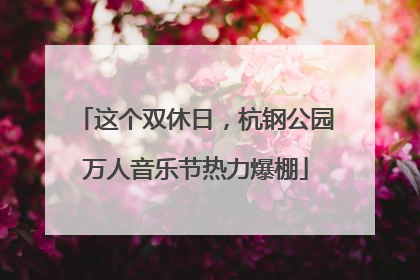这个双休日，杭钢公园万人音乐节热力爆棚