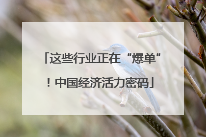 这些行业正在“爆单”！中国经济活力密码