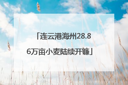 连云港海州28.86万亩小麦陆续开镰