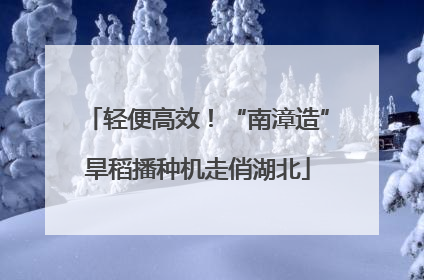 轻便高效！“南漳造”旱稻播种机走俏湖北