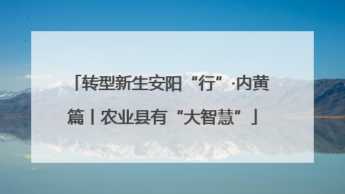 转型新生安阳“行”·内黄篇丨农业县有“大智慧”