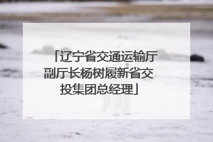 辽宁省交通运输厅副厅长杨树履新省交投集团总经理