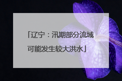辽宁：汛期部分流域可能发生较大洪水