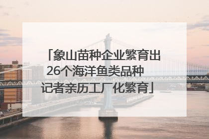 象山苗种企业繁育出26个海洋鱼类品种 记者亲历工厂化繁育