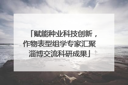 赋能种业科技创新，作物表型组学专家汇聚淄博交流科研成果
