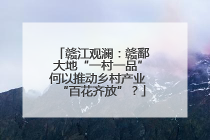 赣江观澜：赣鄱大地“一村一品”何以推动乡村产业“百花齐放”？