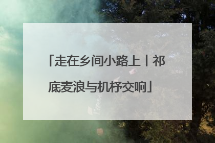 走在乡间小路上丨祁底麦浪与机杼交响