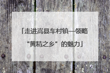 走进嵩县车村镇—领略“黄精之乡”的魅力