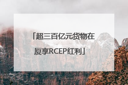 超三百亿元货物在厦享RCEP红利