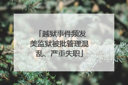 越狱事件频发 美监狱被批管理混乱、严重失职