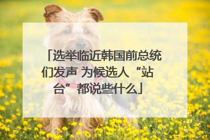 选举临近韩国前总统们发声 为候选人“站台”都说些什么