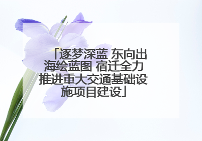 逐梦深蓝 东向出海绘蓝图 宿迁全力推进重大交通基础设施项目建设