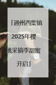 通州西集镇2025年樱桃采摘季甜蜜开启