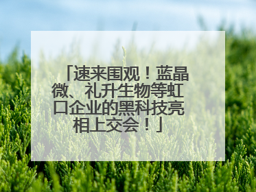 速来围观！蓝晶微、礼升生物等虹口企业的黑科技亮相上交会！