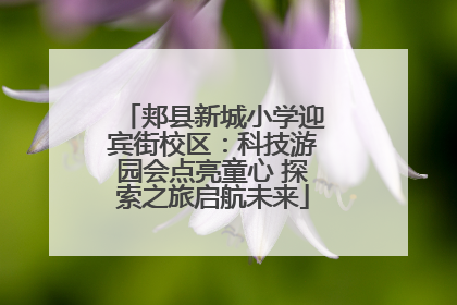 郏县新城小学迎宾街校区：科技游园会点亮童心 探索之旅启航未来
