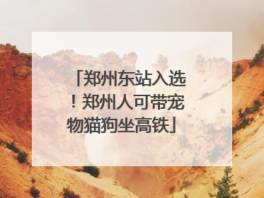 郑州东站入选！郑州人可带宠物猫狗坐高铁