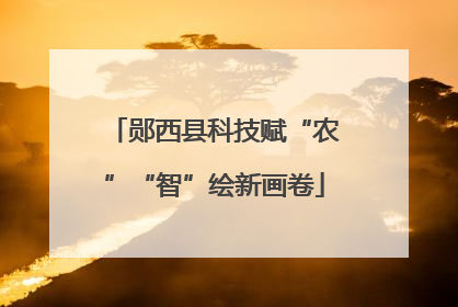 郧西县科技赋“农”“智”绘新画卷