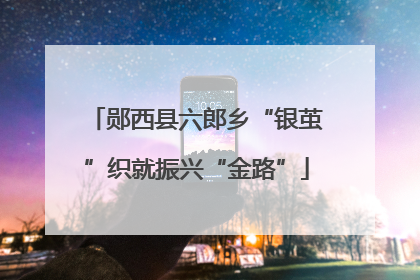 郧西县六郎乡“银茧”织就振兴“金路”