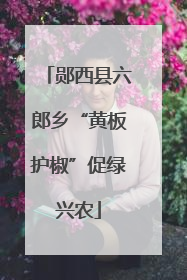 郧西县六郎乡“黄板护椒”促绿兴农