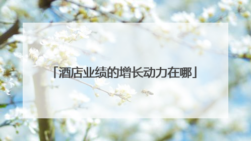 酒店业绩的增长动力在哪