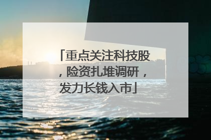 重点关注科技股，险资扎堆调研，发力长钱入市