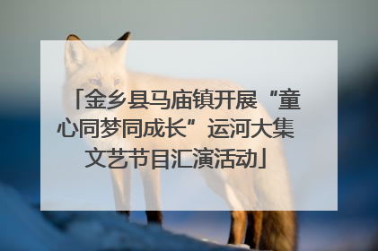 金乡县马庙镇开展“童心同梦同成长”运河大集文艺节目汇演活动