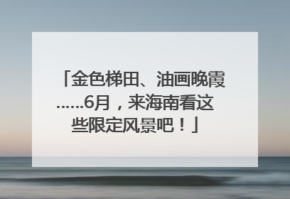 金色梯田、油画晚霞……6月，来海南看这些限定风景吧！