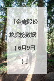 金鹰股份龙虎榜数据（6月9日）