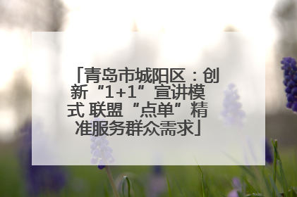 青岛市城阳区：创新“1+1”宣讲模式 联盟“点单”精准服务群众需求