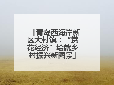 青岛西海岸新区大村镇：“赏花经济”绘就乡村振兴新图景
