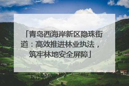 青岛西海岸新区隐珠街道：高效推进林业执法，筑牢林地安全屏障